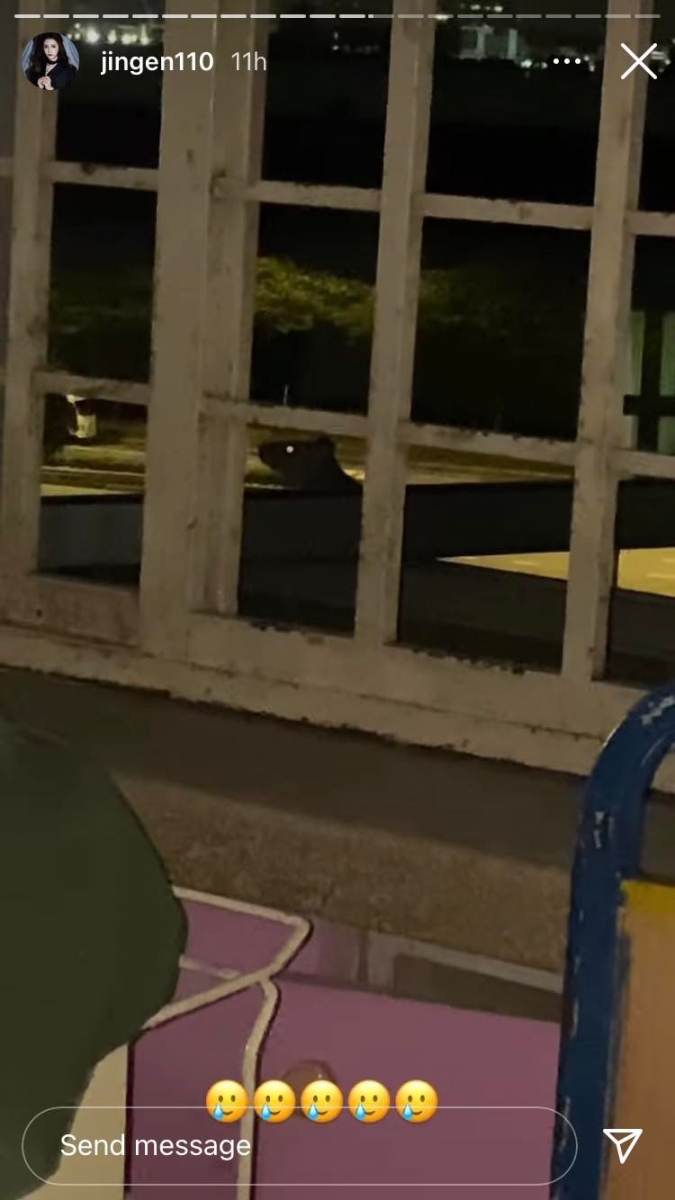 Jing En 随即也晒出几张老鼠在走廊横行霸道照片,并直呼「我想回家~我一刻都不想再待下去了」