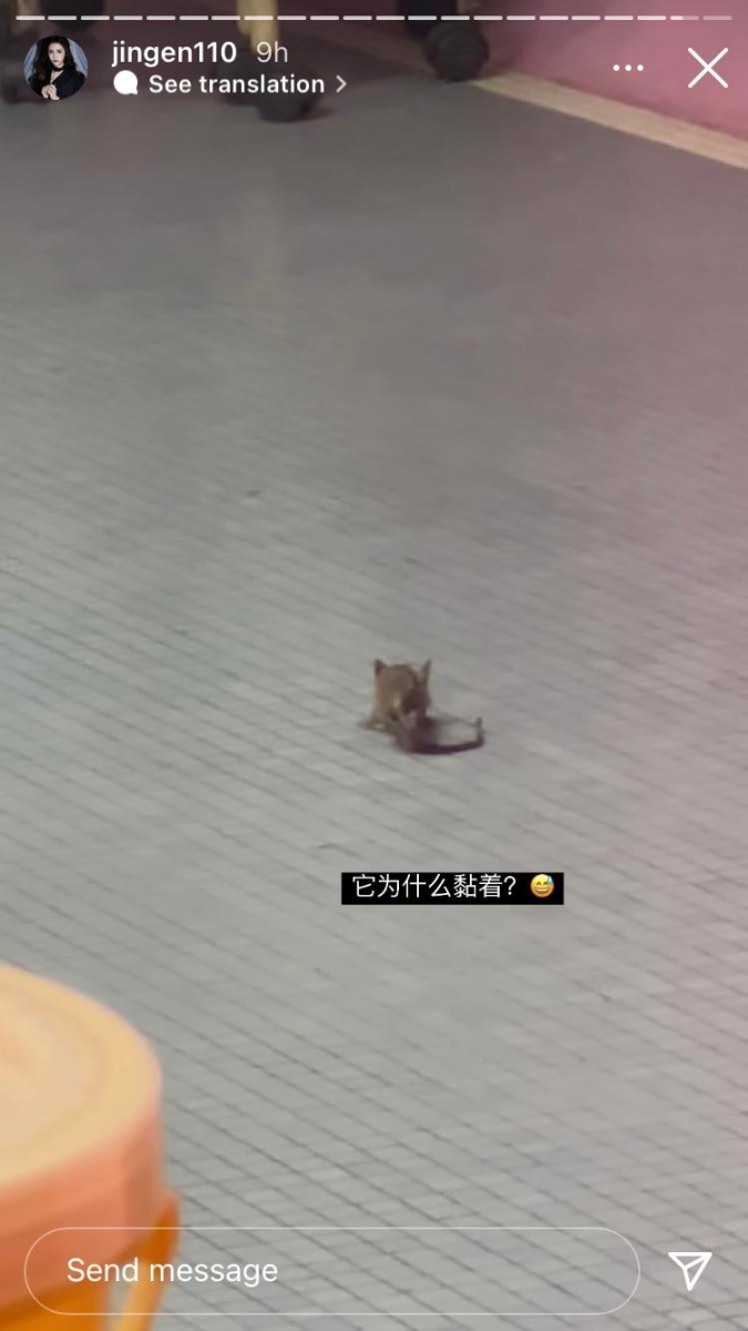 换了睡的地方真的没有更好,这边根本是老鼠窝