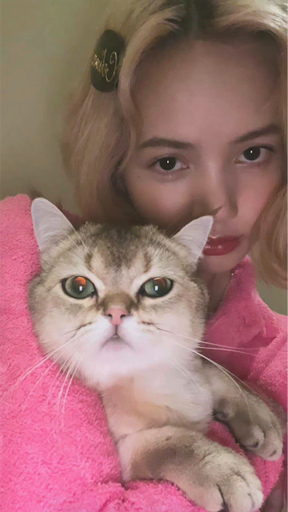 照片上传不久后,就登上了全网的热搜引起了网友们的热议!当然大家也有不同的看法有人支持没刘海的造型,也有的认为Lisa没刘海拉低了颜值。