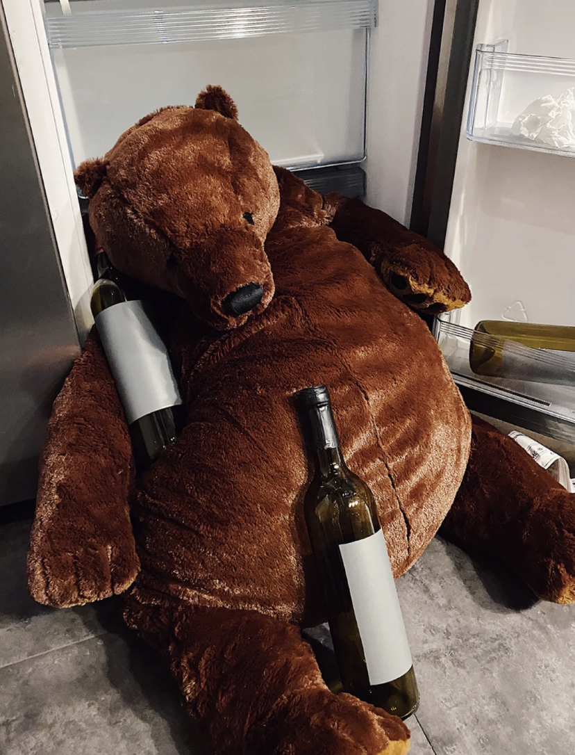 重点是，懒熊真的很上镜可以随意拍都很好看！有很多网友都用懒熊来拍搞笑有趣的照片，懒熊的招牌憨憨的表情瞬间让照片变得更有亮点！