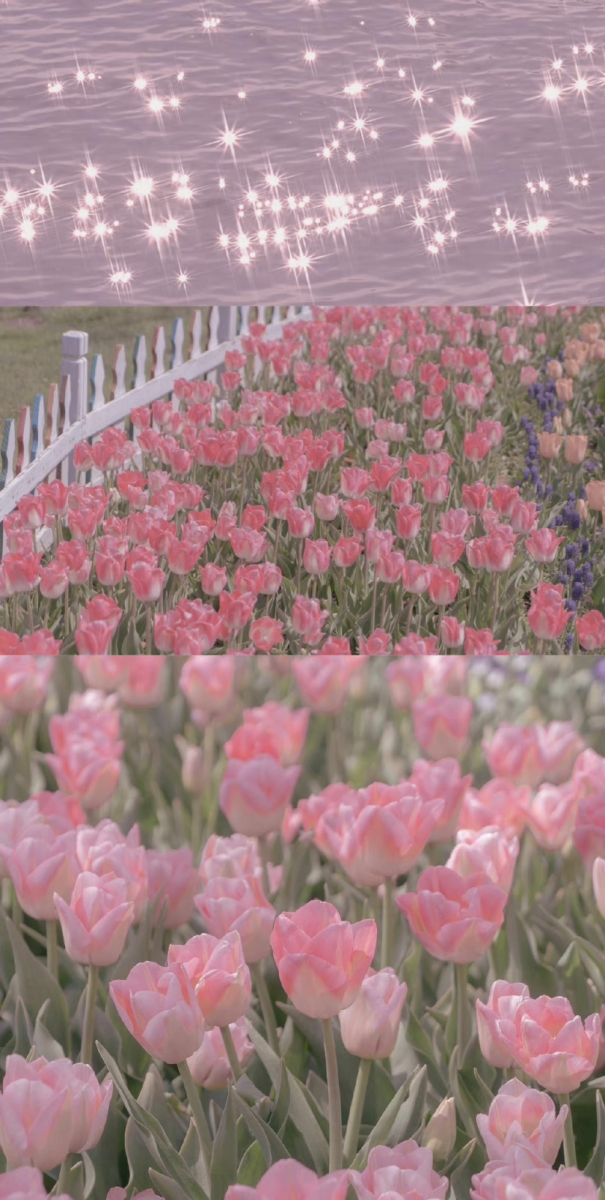 「一路小跑 保持清醒，永远知趣 还有善良。」