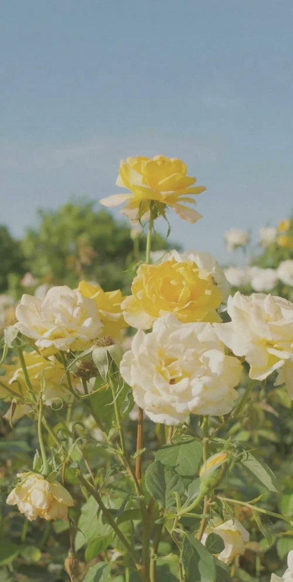 「你也是被别人需要的那个人。」