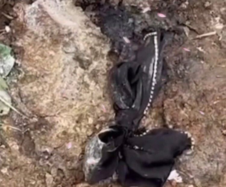 来想戴上蝴蝶结美美地赴约,最后成为了他认出她的遗物