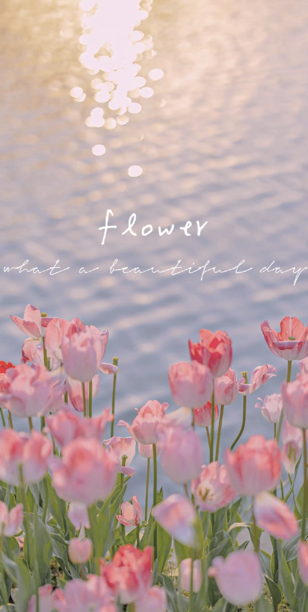 「愿所有的后悔无期，都是它日的别来无恙。」