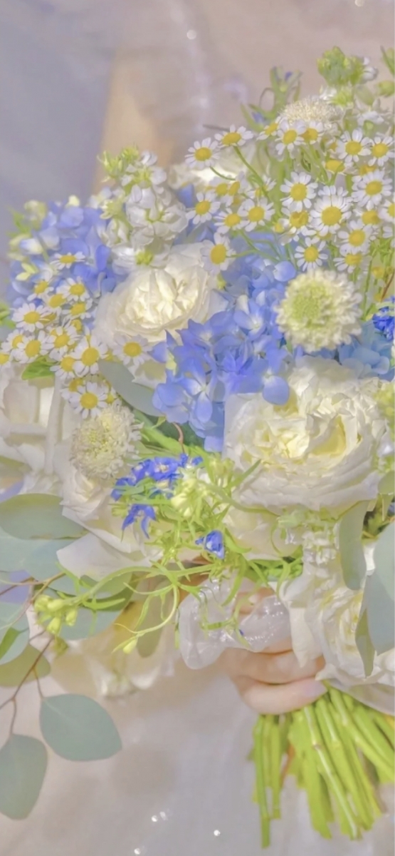 「在疲惫的生活中，总要有些温柔的梦想。」