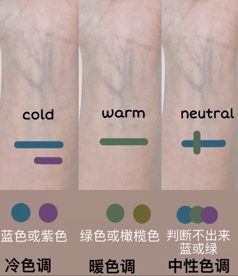 观察自己的血管颜色分辨皮肤色调,可以拍打自己的手腕观察血管的颜色。分别会有三种不同的色调:冷色调、暖色调、中性色调。