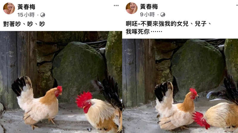 S妈还是气得放狠话「女儿不道歉不见女婿」