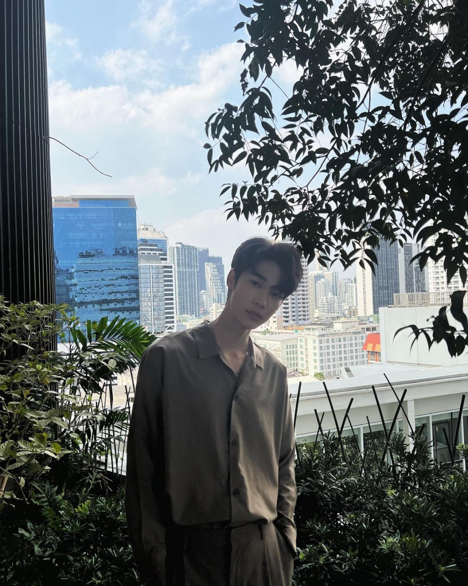 身高最高的花泽类~