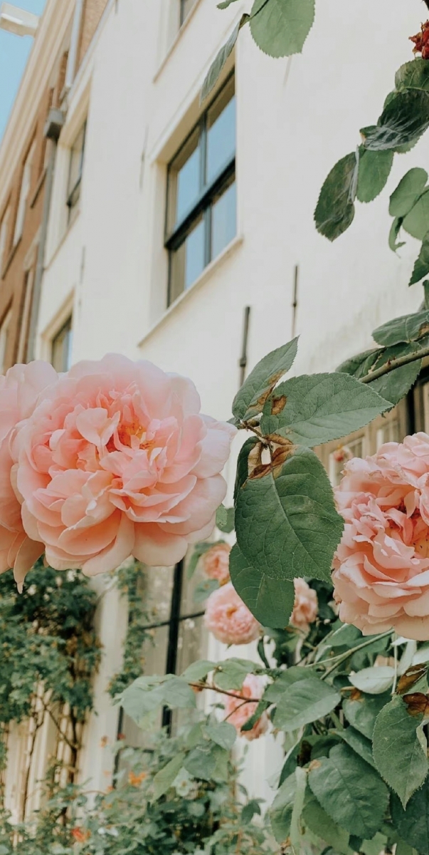 「快乐的方式有很多种，千万别把自己闷坏了。」