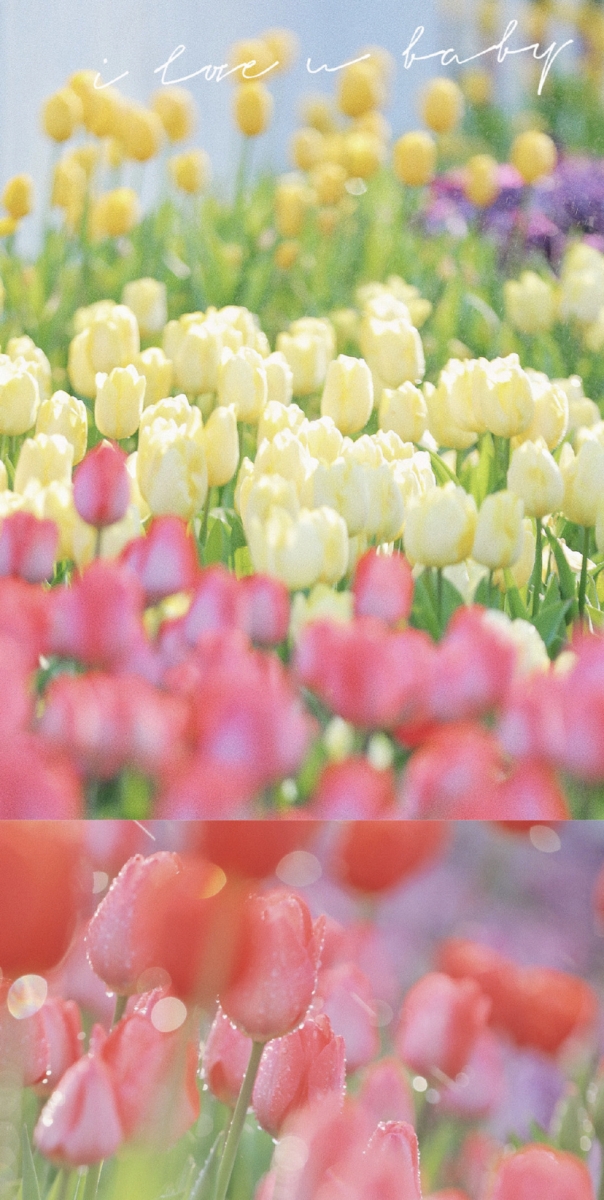 「把期望降到最低，所有的遇见都是礼物。」