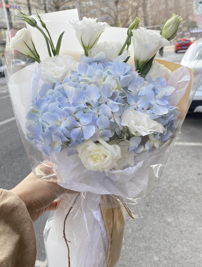 绣球花与哦很多不同的颜色选择,绣球一簇簇黏在一起形成一个球状的大花。