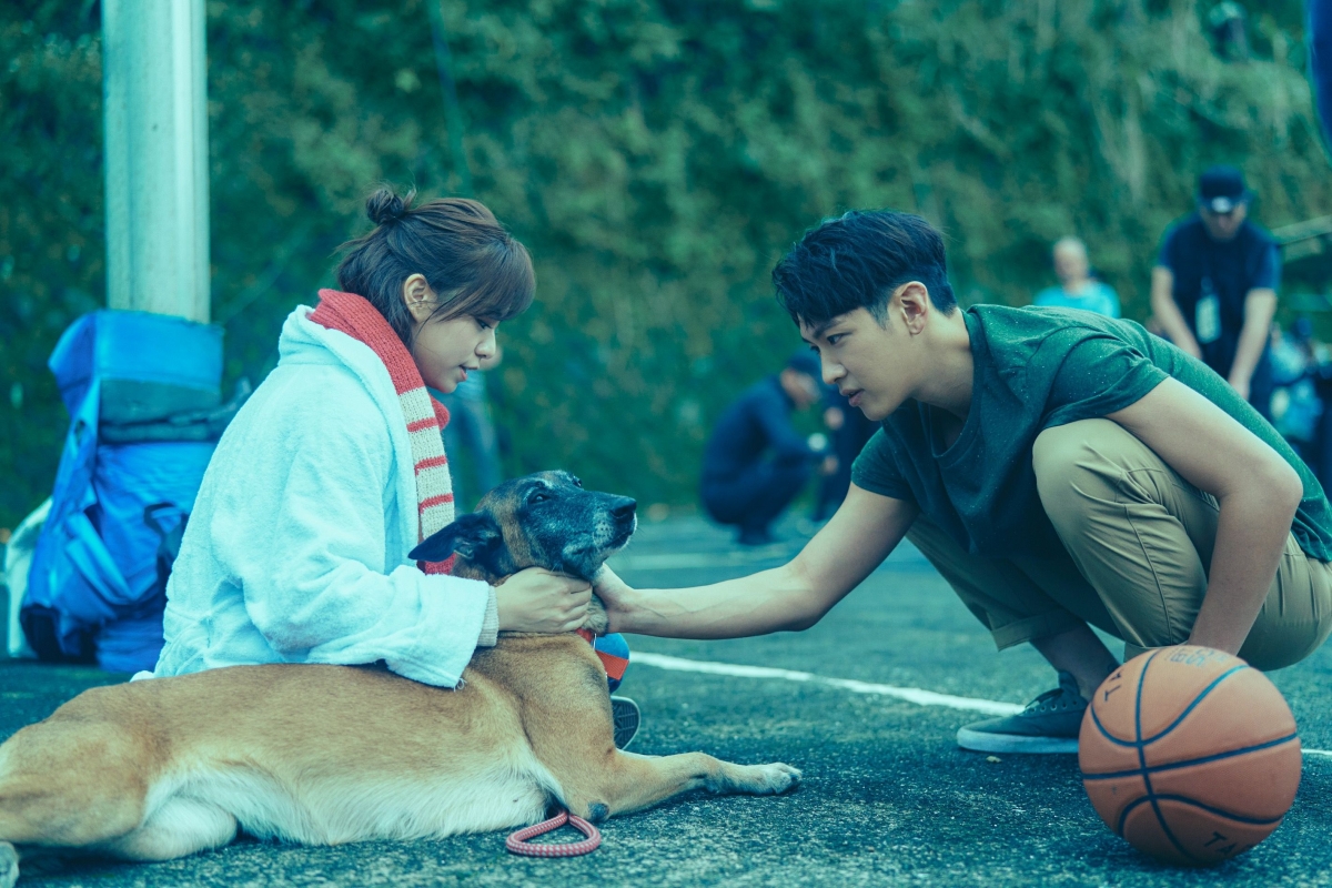 柯震东与爱犬阿鲁在平交道旁相遇的戏更是感动无数人!