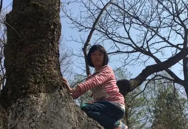 虽然家庭条件比不上别人家，但夫妻俩都认为「不妨事儿，别人家有的，我家晶晶当然也要有。」