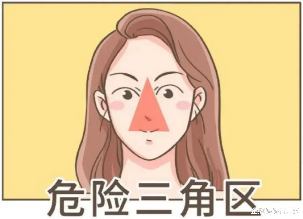 容易引起危险三角区的感染。
