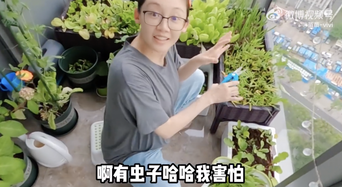 苗苗首次在影片里向郑恺撒娇