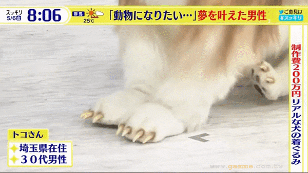 不过也有网认为这或许只是比较罕见的个人兴趣而已，最重要的自己觉得开心就行了。