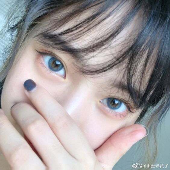 经过半个月的治疗后,花花已康复出院,没有遗留任何脑部、眼部并发症。(示意图)