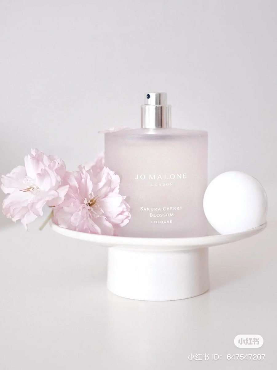 给人一种温柔淡香气息