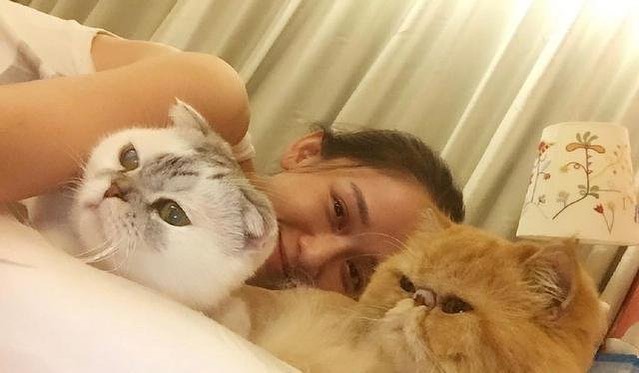 据悉陈乔恩家中有只11岁的猫咪Yoda,在去年接受健康检查时,被诊断出患上肝肿瘤癌症末期。