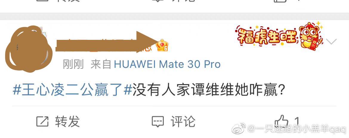 获得胜利被网批没有谭维维根本赢不了