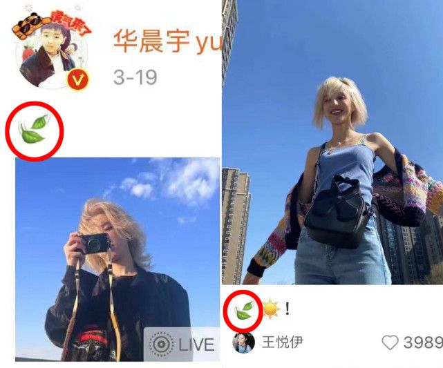 戴着同款耳环,就连文案都一模一样