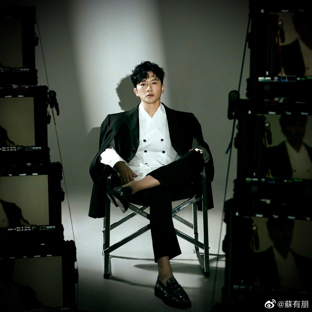 苏有朋