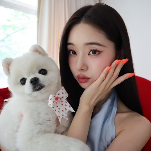 从整个画面来看「宋智雅」似乎已经走出了阴霾