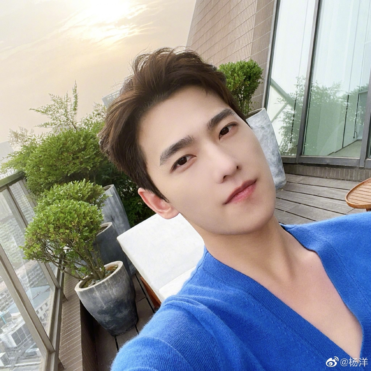 杨洋