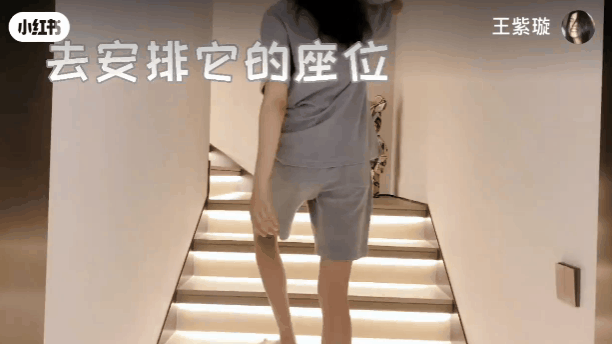 发现王紫璇过去分享自己收藏的潮流玩具影片