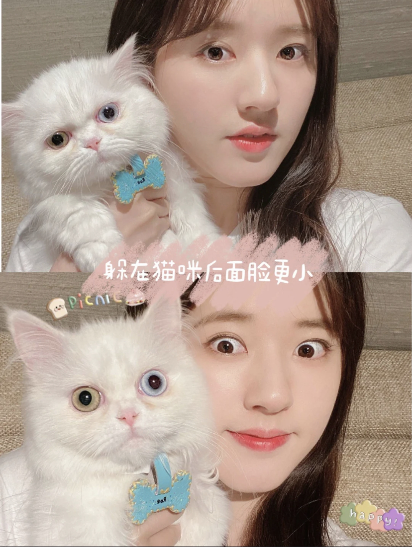 家里有养小宠物的集美们,赶快抱起你的狗狗猫猫一起合拍一张!