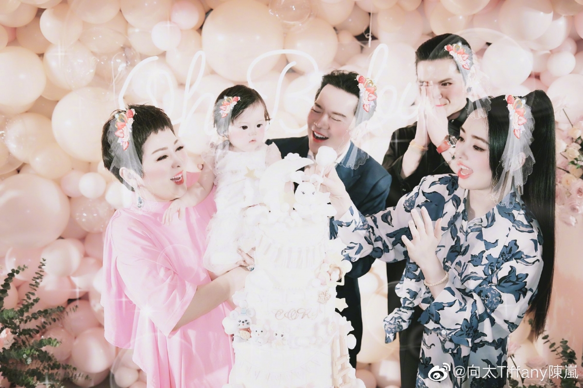 网友笑言,汪小菲和向佐两人的经历都非常相似