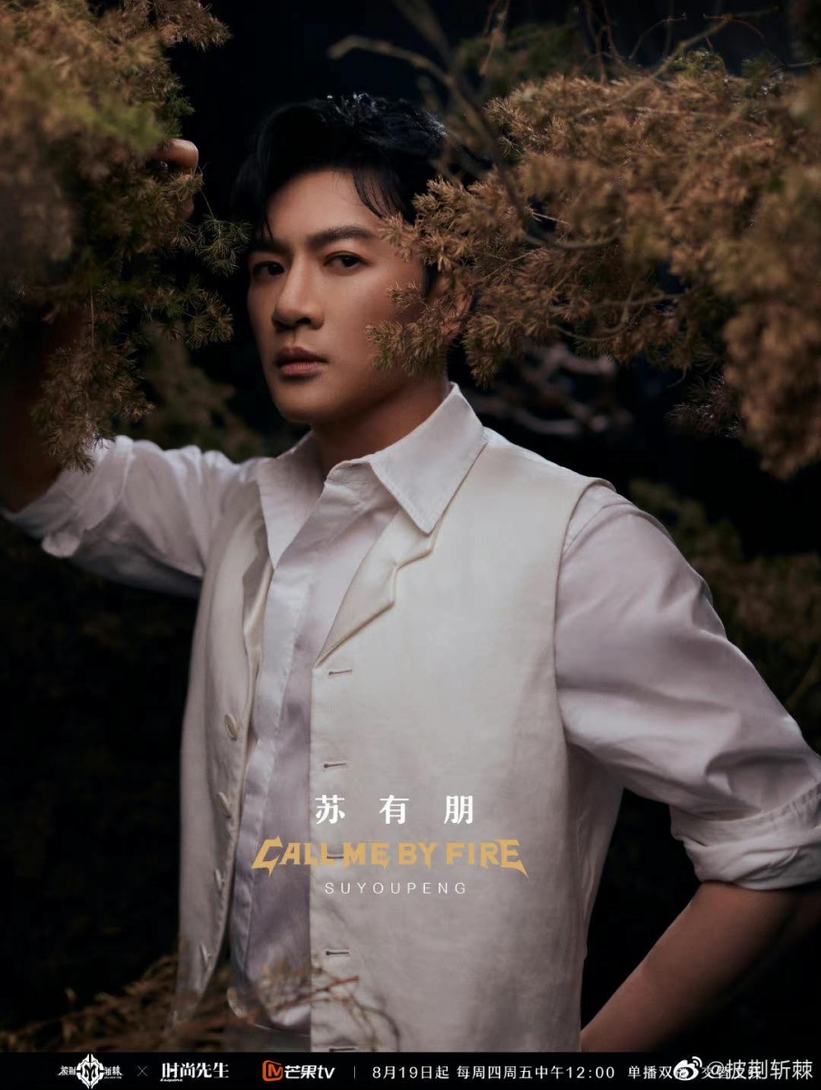 苏有朋华语乐坛初代男团标杆