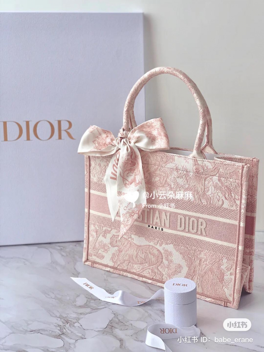 Dior Book Tote Bag