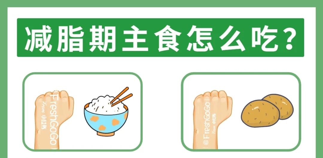 主食 —— 「一拳法则」