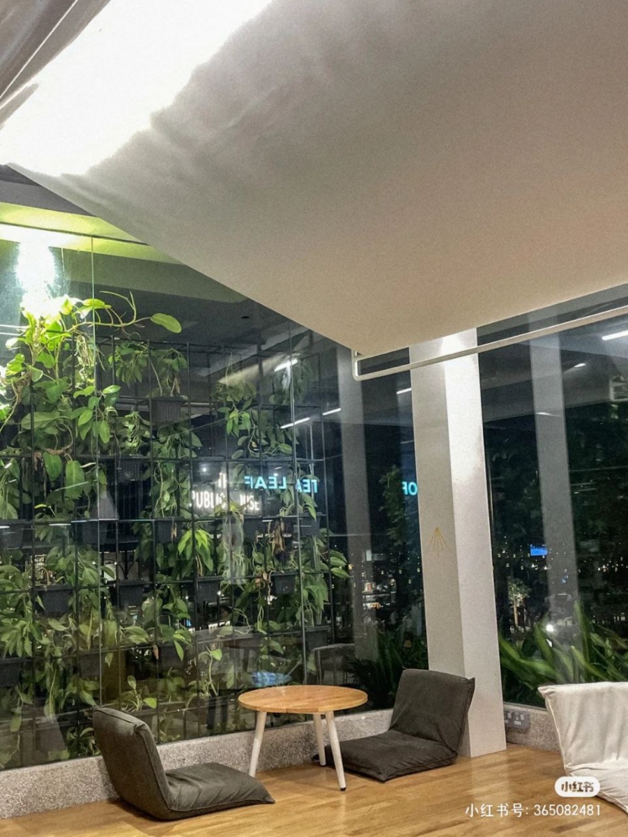 隐藏在钢骨水泥中的一方世外桃源