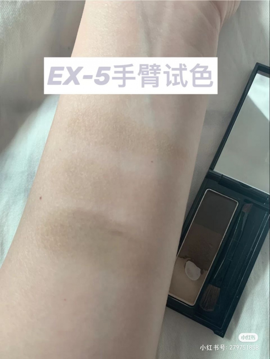 EX-5 手臂试色