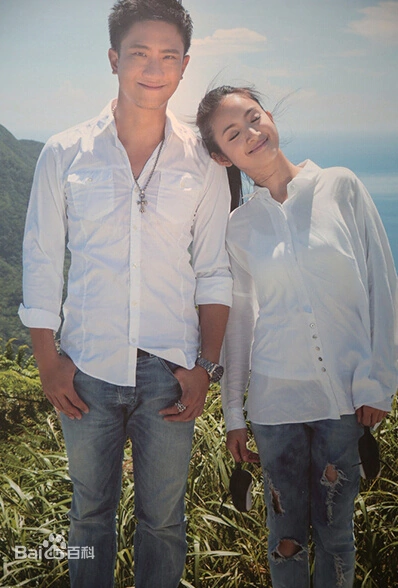 林依晨和现任老公于2014年成婚