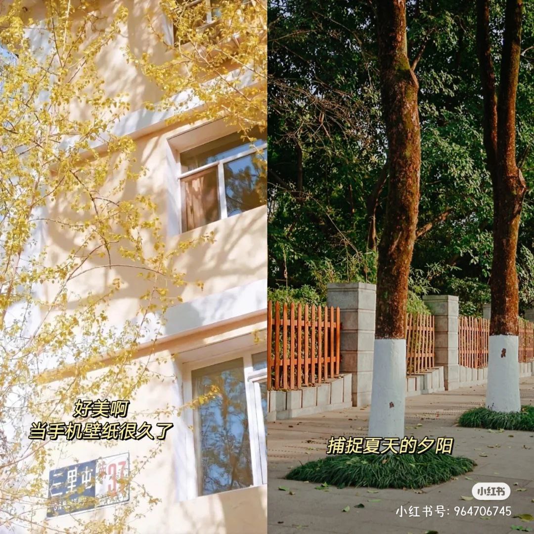 ProCCD 出片效果