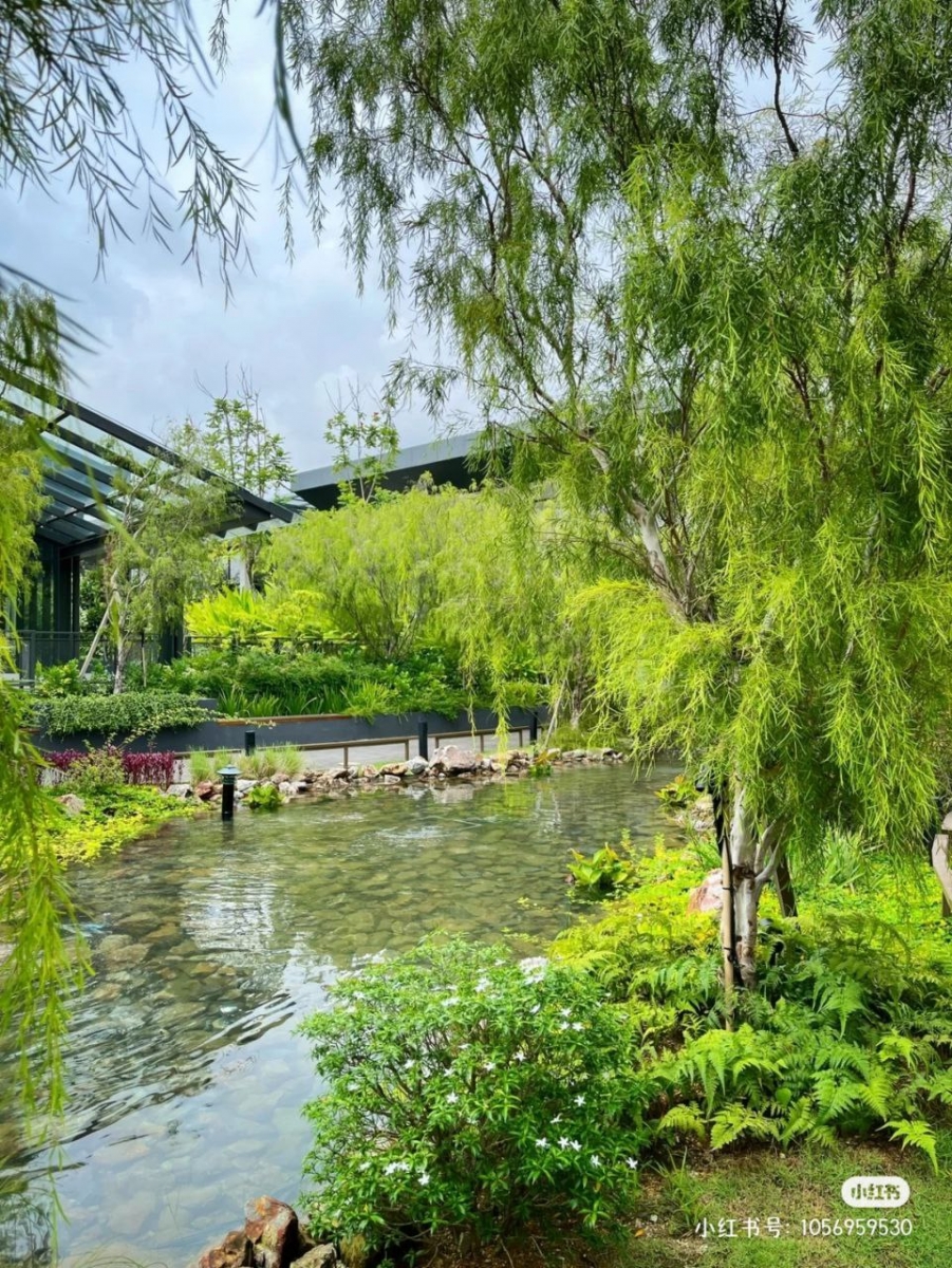 竹林环绕，环境优美令人放松