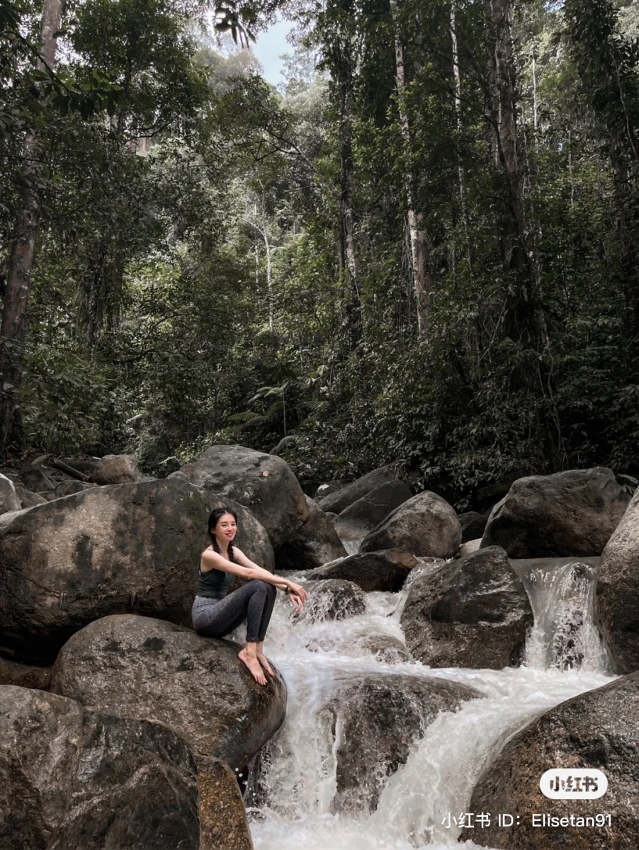 Father’s Organic Farm