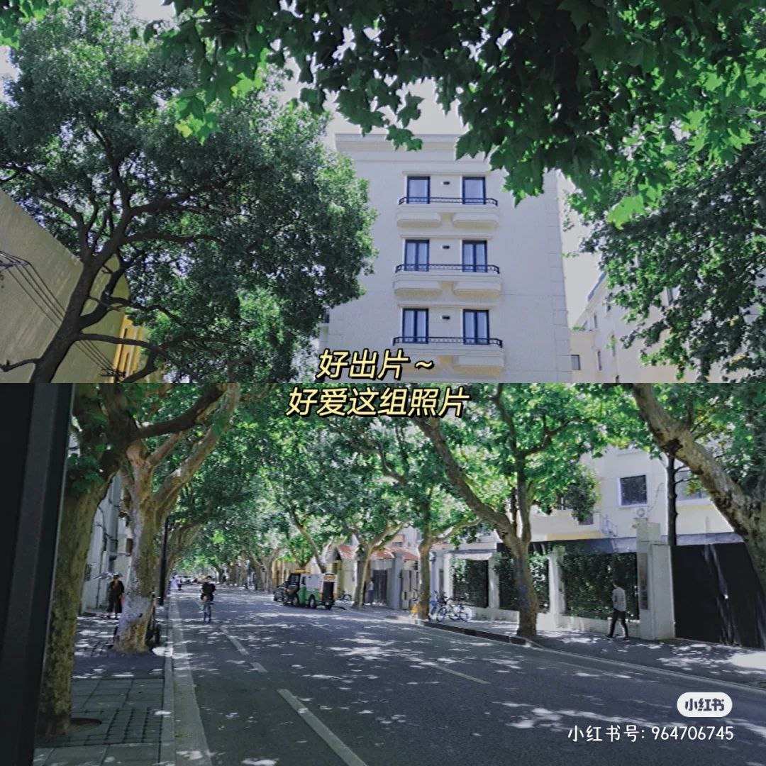 ProCCD 出片效果