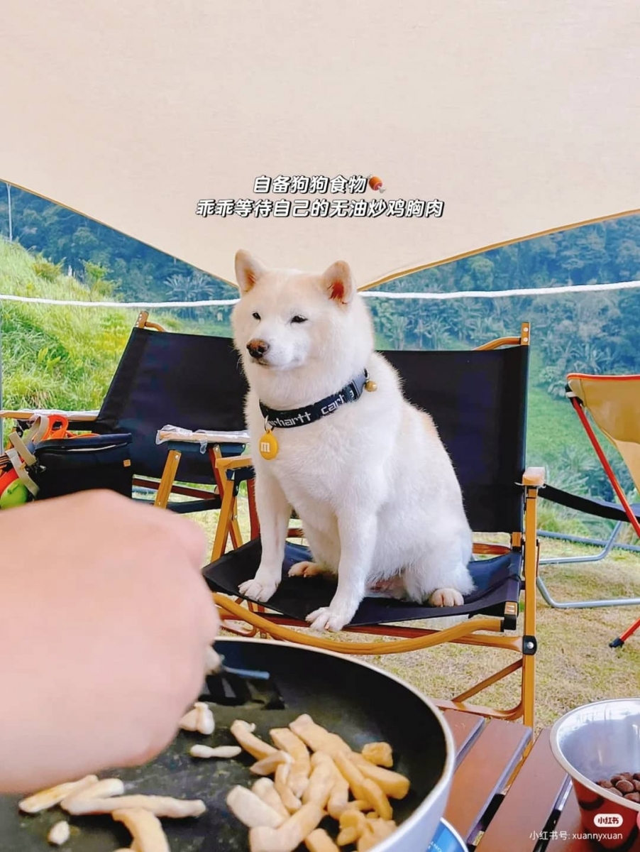 云海 YunKai Campsite