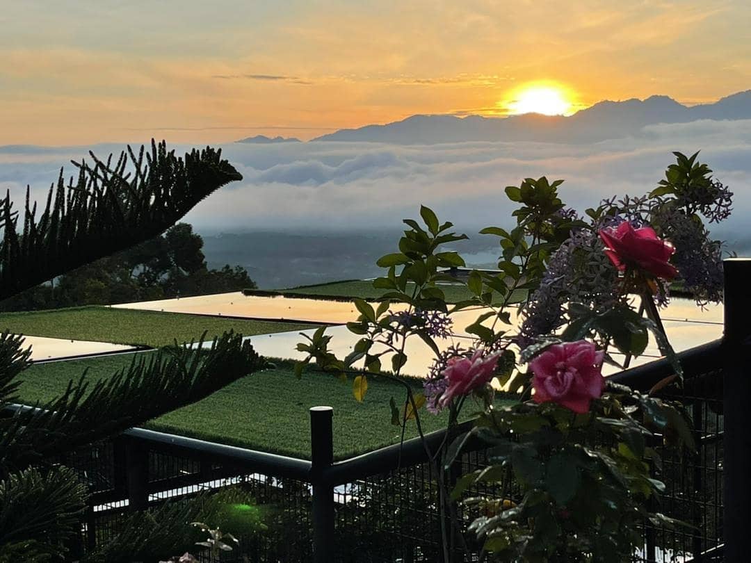 Kuak Hill Resort | 霹雳(Perak)