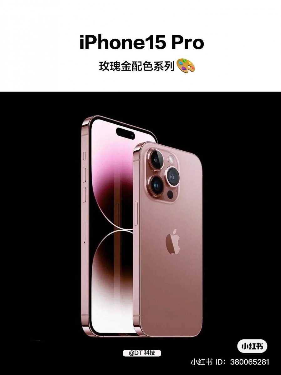 干燥玫瑰新配色