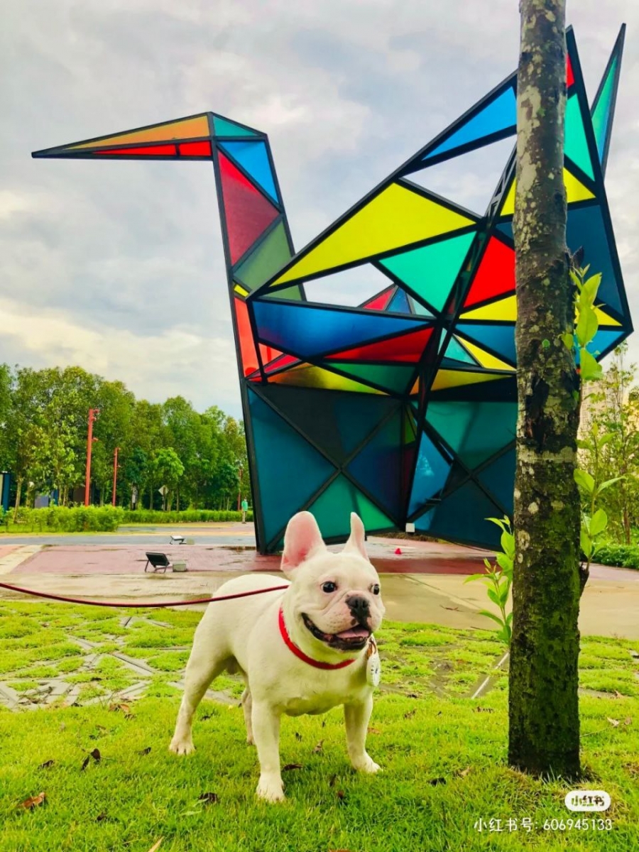 5、Origami Park