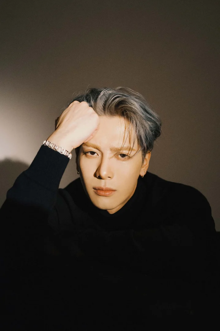 发展不久后更成立个人工作室“Team Wang”，推出不少作品，在亚洲各地拥有超高人气，成为全方位的艺人。