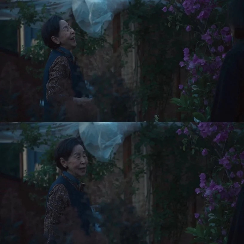 房东阿姨
