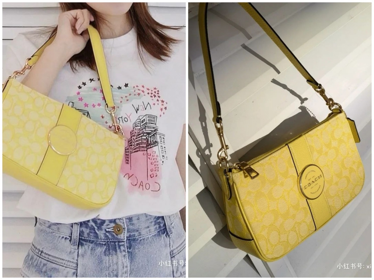 1、Coach Lonnie Baguette Bag