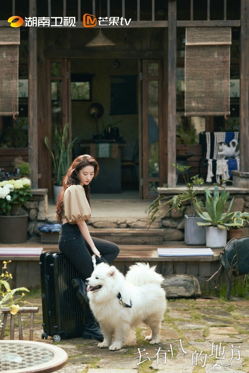 许红豆这番拒绝,简洁明了地告诉对方自己的立场,并重申一遍自己来大理的目的就是为了休息和放松