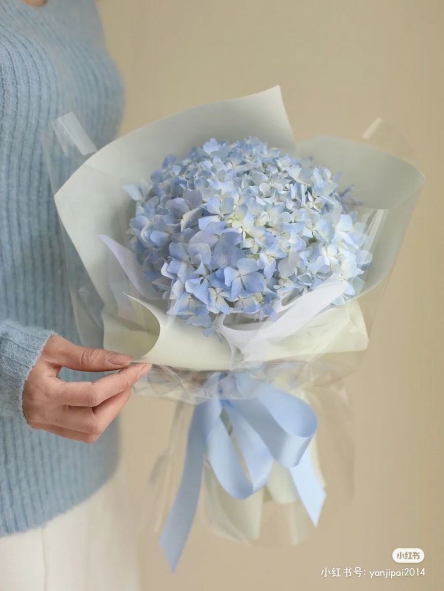「蓝色绣球花」有背叛、见异思迁的寓意